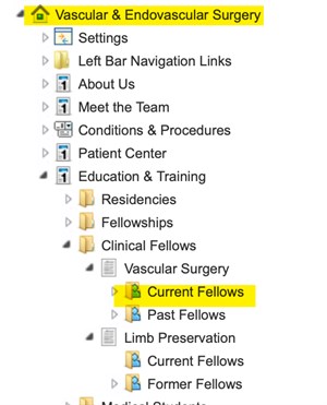 Current Fellows Folder